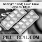 Kamagra 100Mg Gelée Orale Comment Utiliser 27